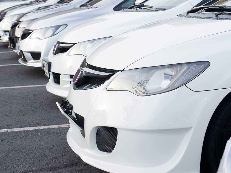 Many white Hondas in parking spaces