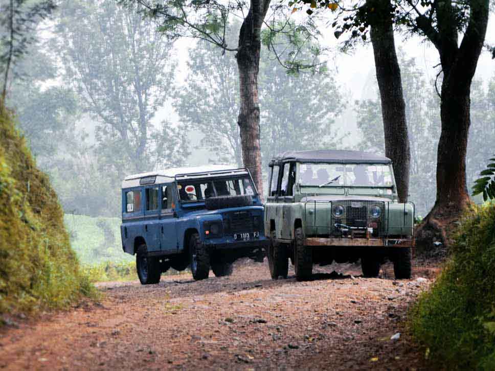 Classic Land Rovers off roading through forest
