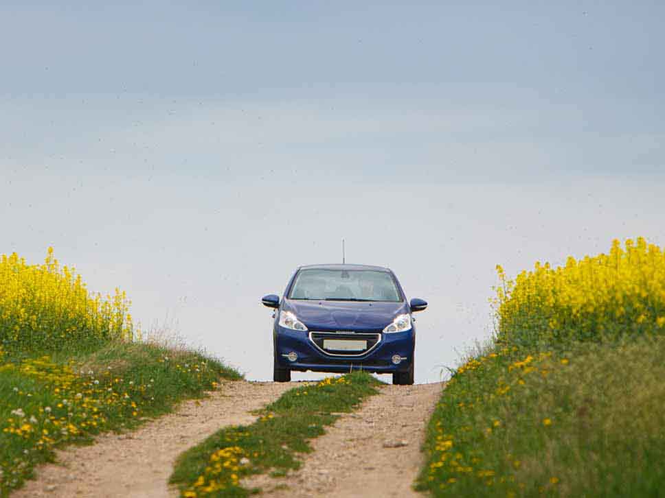 Peugeot driving down a dirt track inbetween rapeseed fields