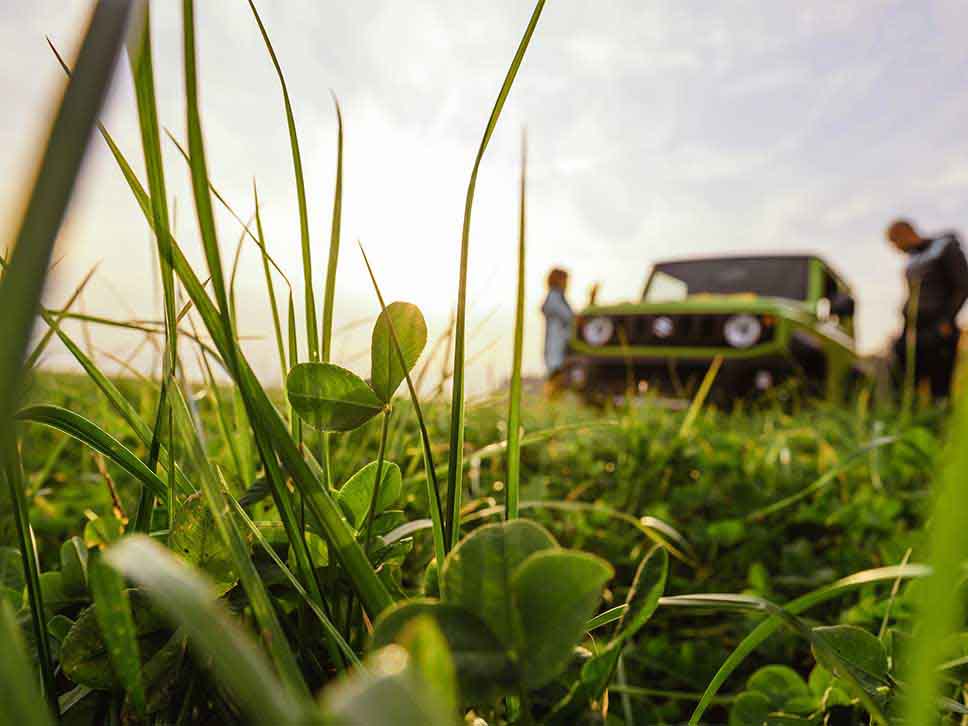Green Suzuki in a field of green grass