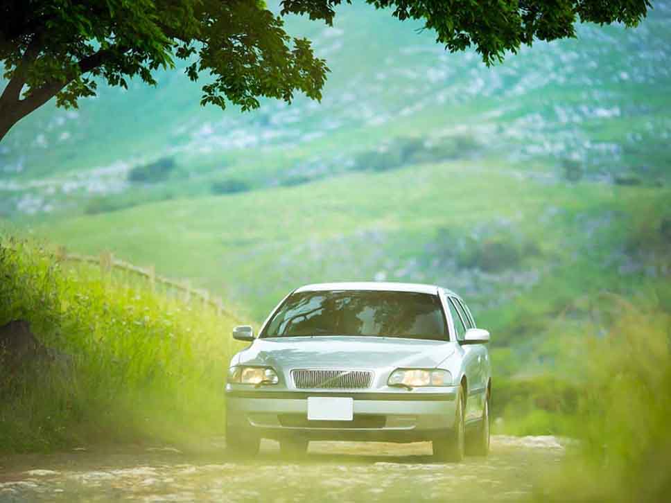 Volvo driving through trees over a hill